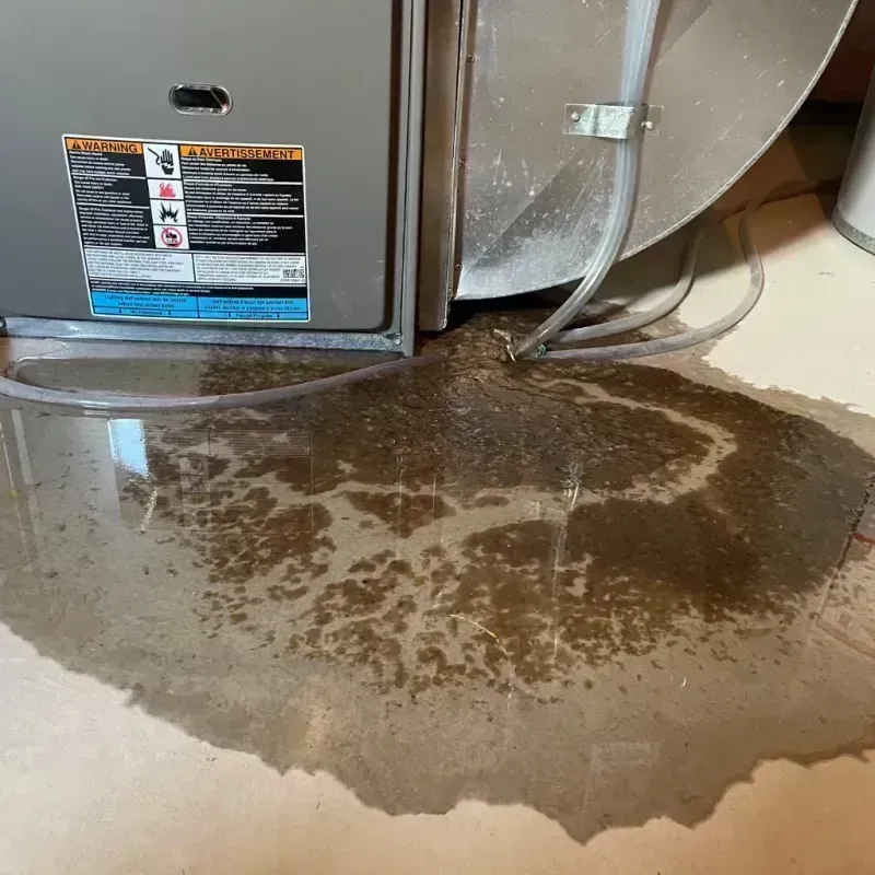 Appliance Leak Cleanup in McLeansboro, IL